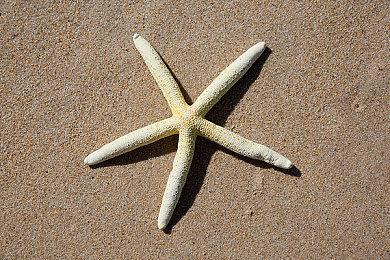 《战地2042》未来地图尺寸更小 与二赛季新图类似